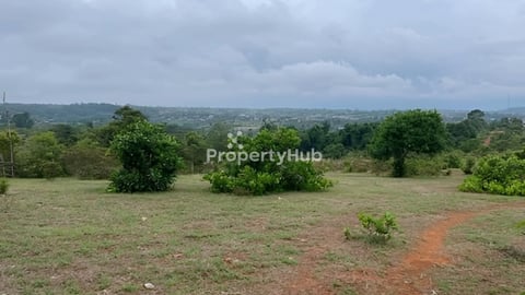 ដីលក់ប្រញាប់លុយ