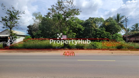Land for sale(ចរចាជាមួយម្ចាស់) លើផ្លូវជាតិលេខ៤ គីឡូ98