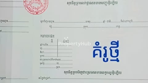 សេវាកាត់ប្លង់