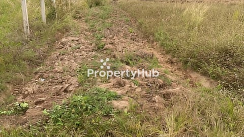 ដីលក់ក្រោមទីផ្សារ