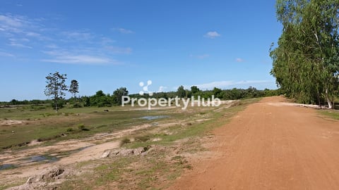 មានលក់ដីចំការតម្លៃសមរម្យ​ អាចចរចារបាន