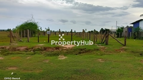 ដីលក់បន្ទាន់ ផ្លូវរដ្ឋ 30m បាត់ដឹង