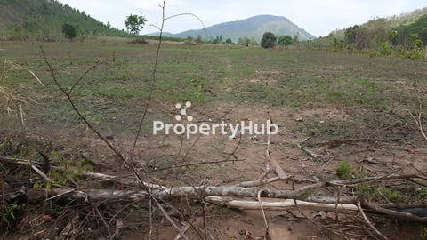 ដីចំការ ប្លង់រឹង ស្រុកឈូក ខេត្តកំពត