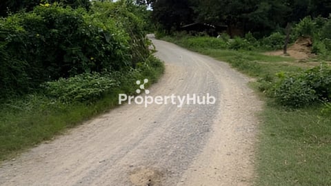 ដី4500mពីលោតាដំបងក្រញូង12*32