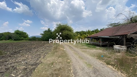 ដីចំការ 3.5h ជាប់អូរ