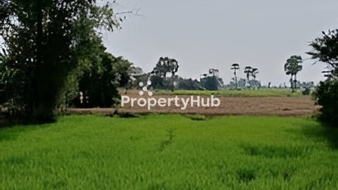 ដីលក់បន្ទាន់តម្លៃក្រោមទីផ្សារ