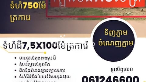 ដីលក់បន្ទាន់នៅកោះអន្លង់ចិនជិតស្វាយរលំ