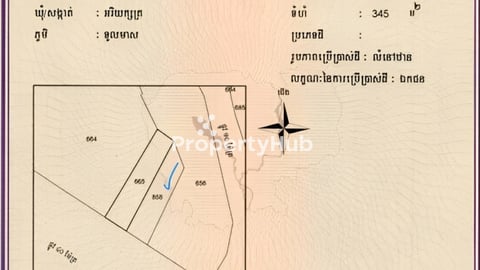 ដីលើផ្លូវ 40 ម នៅក្នុងក្រុងអរិយក្សត្រ