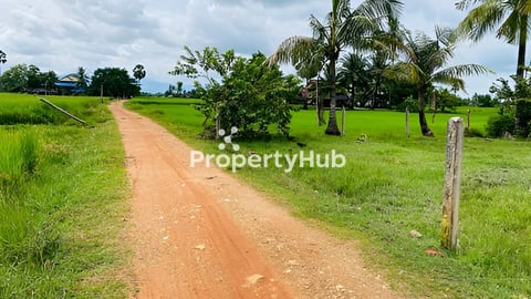 ដីលក់ ម្ចាស់ប្រញ៉ាប់លុយ