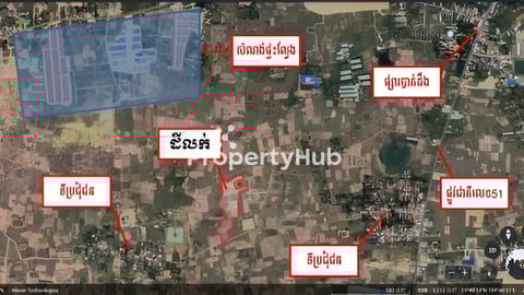 ដីស្រែនៅខាងលិចផ្សារបាត់ដឹង លក់បន្ទាន់