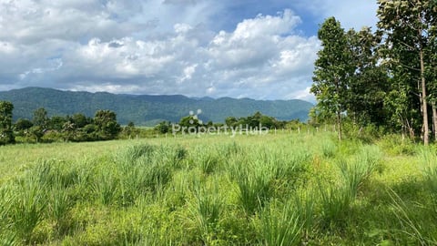 ដីលំហែលលក់បន្ទាន់ 40m x 75m