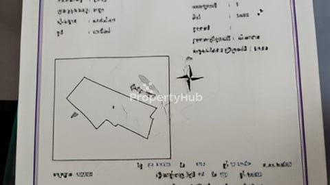 ដីលក់បន្ទាន់ជាប់ស្ទឹងព្រែកត្នោត