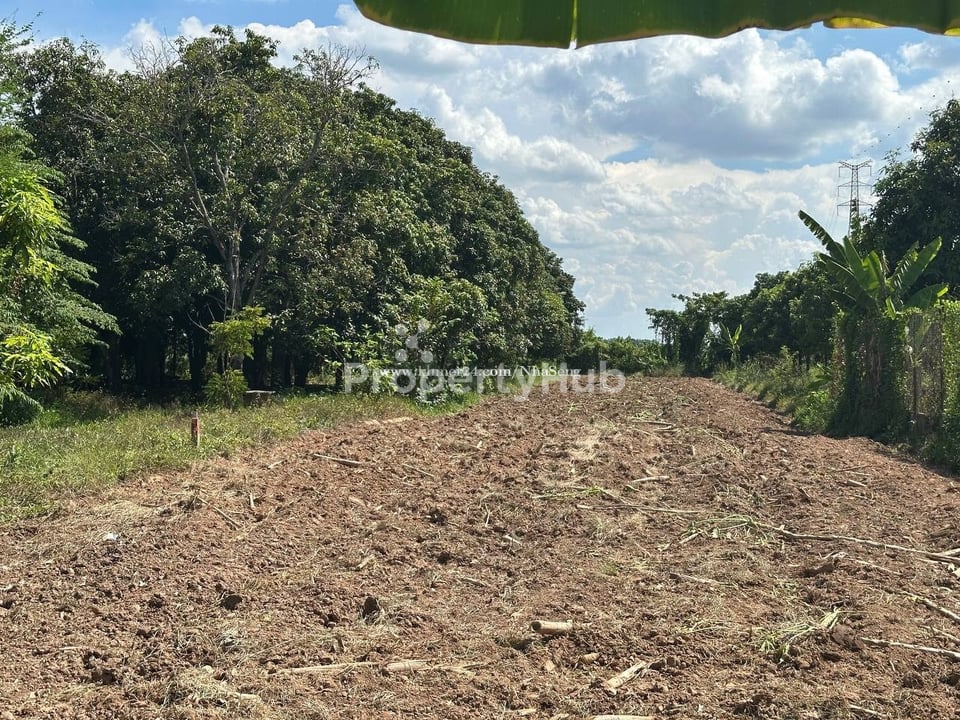 Property 4