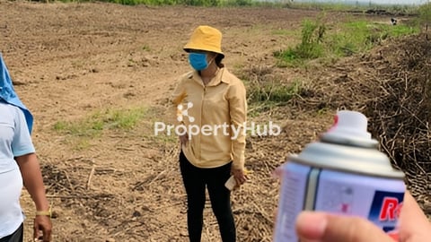 អរិយក្សត្រ ពាមអុកញ៉ាអុង ល្វាឯម លក់ធូរថ្លៃ