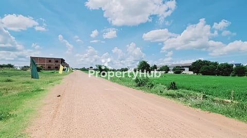 ដីលក់នៅក្រោយផ្សារ ពួ ពុយ