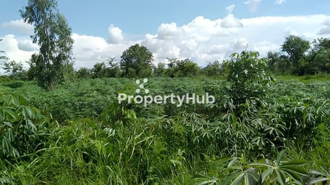 ដីលក់ ក្រុងប់ោយប៉ែត សង្កាត់ផ្សារកណ្តាល 20mx30m