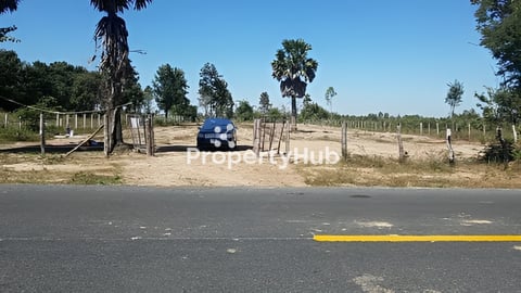 ដីលក់បន្ទាន់ ជាប់ផ្លូវជាតិលេខ 53 (50m)​ ផ្លូវកៅស៊ូ ពីទីរួមខេត្តកំពង់ឆ្នាំង ទៅ ផ្សាររមាស