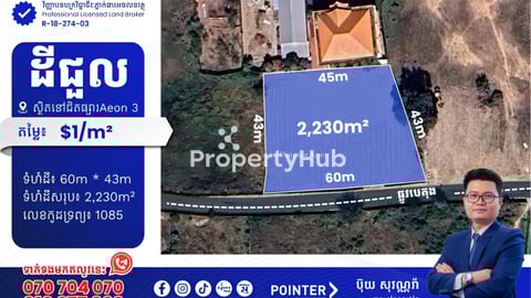 ដីជួលនៅជិតផ្សារAeon3