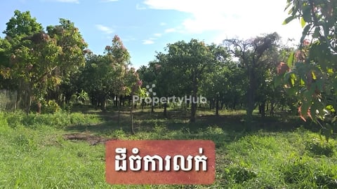 ដីចំការកៀនស្វាយ