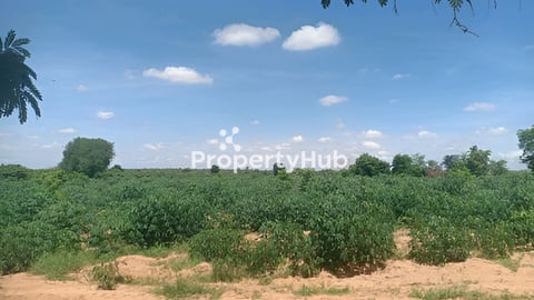 ដីសម្រាប់លក់