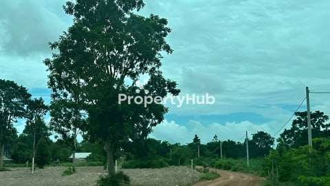 ដីលក់បន្ទាន់