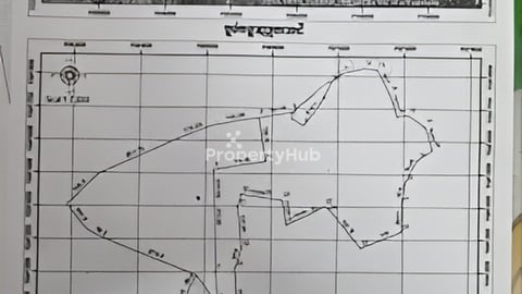 ដីលក់នៅរតនគិរី ៤៣ហិកតា