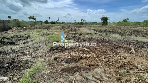 លក់ដីទំហំ45*143=6433m2@ ប្លង់រឹង ជំពូព្រឹក្ស ស្រុកឧដុង្គ ខេត្ត កំពង់ស្ពឺ