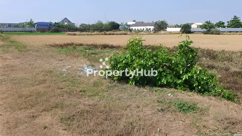 ដីលក់ប្រញាប់ក្រោយផ្សាភូពុយ