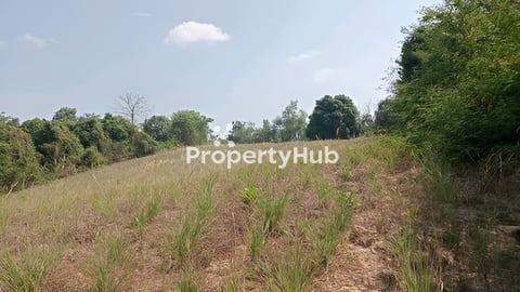 ដីកំពតលក់ (ម្ចាស់ផ្ទាល់)