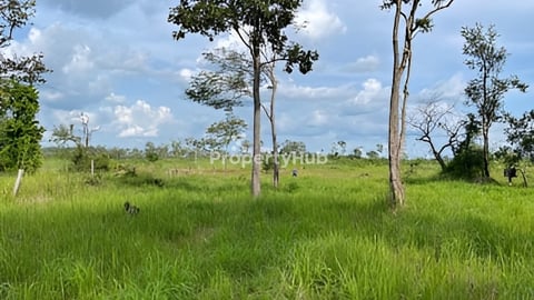 ប្រភេទដីចំការ រតនគិរី