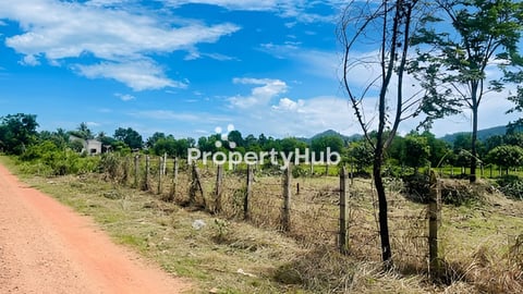 ដីកែបលក់