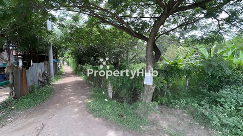 ដីលក់ជាប់ផ្លូវជាតិលេខ១ ភូមិលាភ ឃុំកណ្តៀងរាយ ស្រុកស្វាយទាប ខេត្តស្វាយរៀង