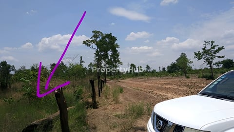 ដីចំការលក់ ៦ហិចតា