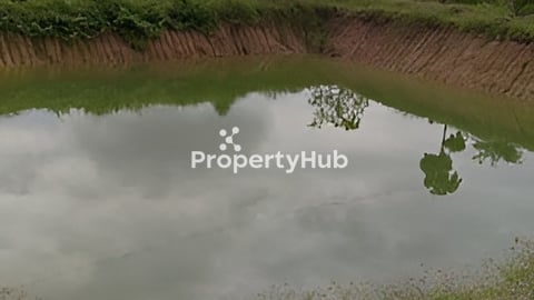 ដីលក់មានទីតាំងខេត្តកំពតទំហំ 35m x 97m