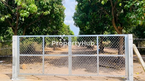 ដីក្នុងក្ដីស្រមៃដែលមានតែសភាពស្អាតគឺនៅគីរីរម្យ🌳🌲🏞️