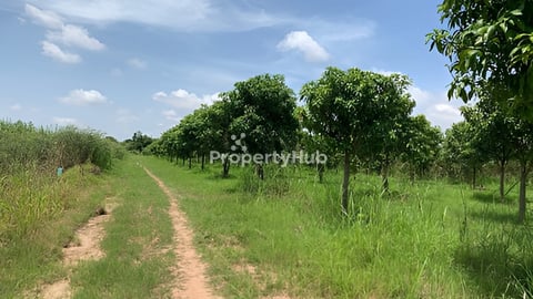 ដីលក់បន្ទាន់ ឆ្លងខាងអរិយក្សត្រ