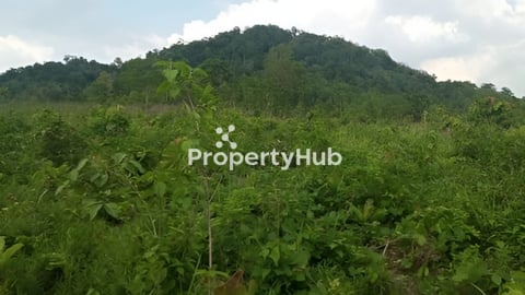 ស្រុកសំទ្បូត បាតតំបងធម្មជាតិ