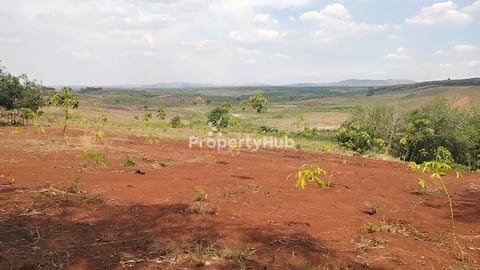 ដីសម្រាប់លក់នៅខេត្តរតនៈគីរី