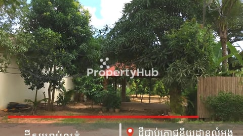 ដីលក់បន្ទាន់ជាប់ផ្លូវ15m, ជាប់ភោជណីដ្ឋានលំអង ក្រុងសៀមរាប