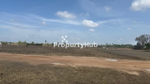 ដីសម្រាប់លក់