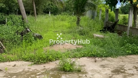 ដីលក់ក្រោមទីផ្សារ