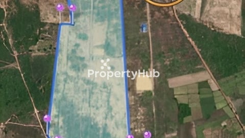 ដីលក់សង់រោងចក្រ