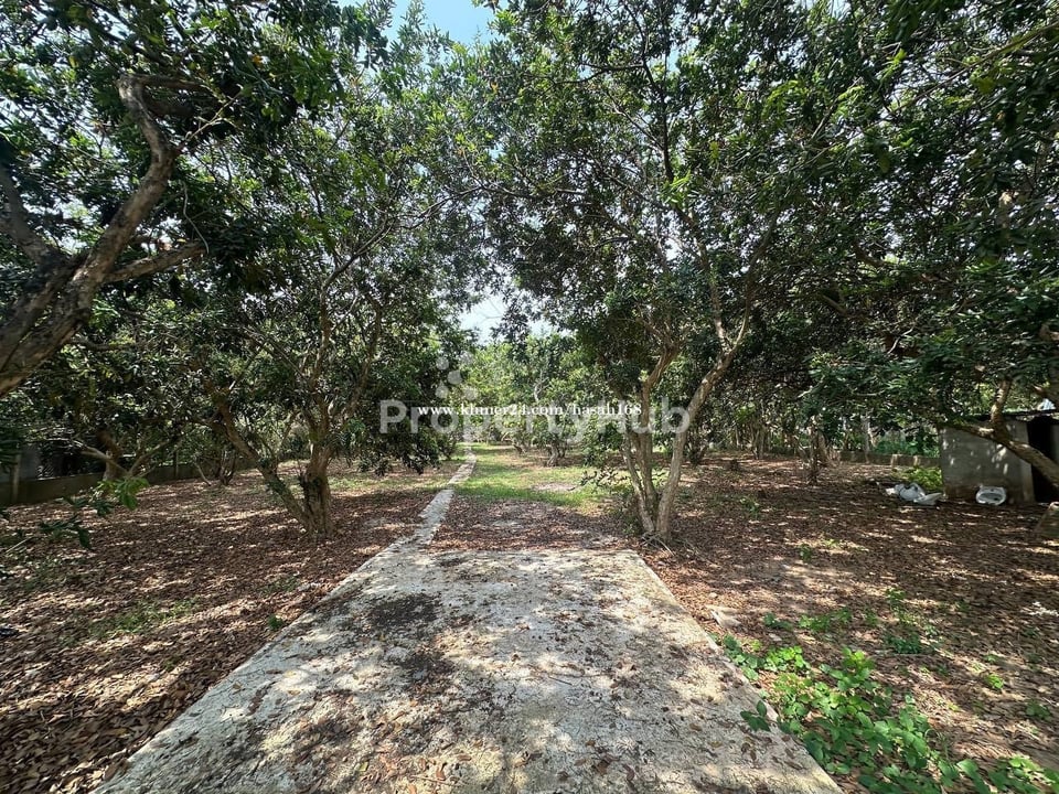 Property 4