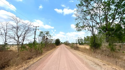 ដីចម្ការ9ហិចតាជាប់ផ្លូវរដ្ឋ15mដីក្នុងភូមិត្រូវការលក់បម្ទាន់