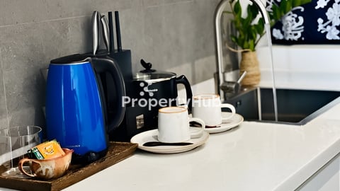 Rose Apple Square Condo studio for sale