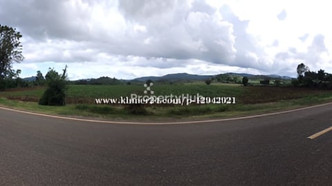 ដីចំការ 8 ហិតា លក់ ប៉ៃលិន ជាប់ផ្លូវកៅស៊ូ 40m