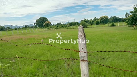 ដីលក់បន្ទាន់