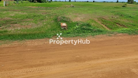 ដីលក់តម្លៃក្រោមទីផ្សារ