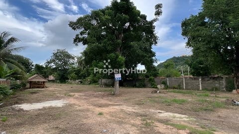 ដីលក់នៅបាសិត ផ្លូវ១៣០