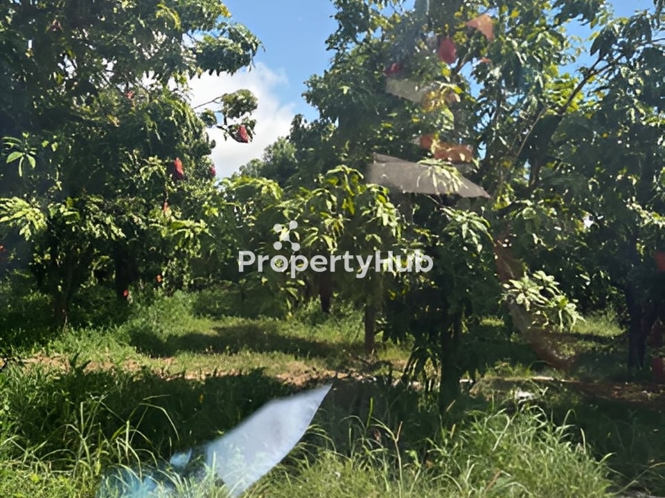 Property 4